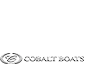 Cobalt Logo